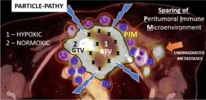 Particle PATHY